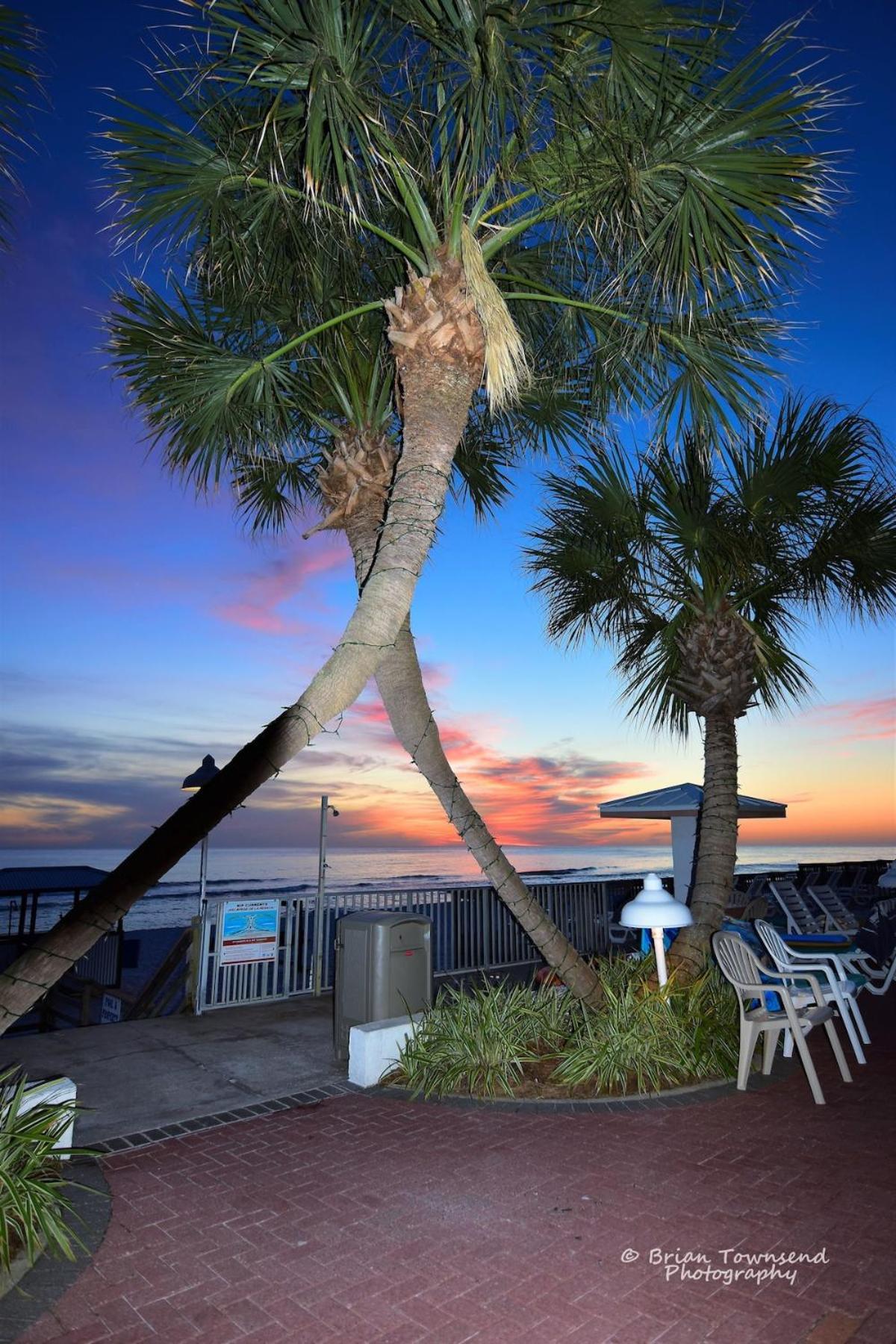 Hotel Palmetto Beachfront Hotel, A By The Sea 4*